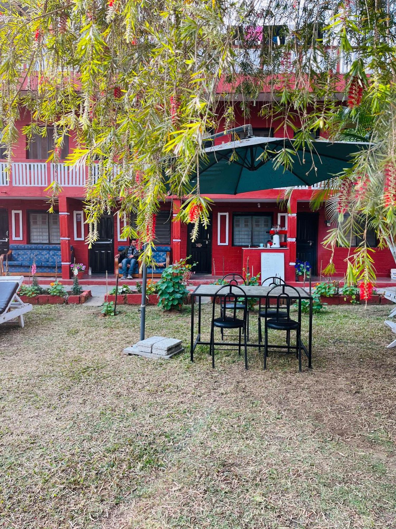 博卡拉 蝴蝶旅舍酒店 外观 照片