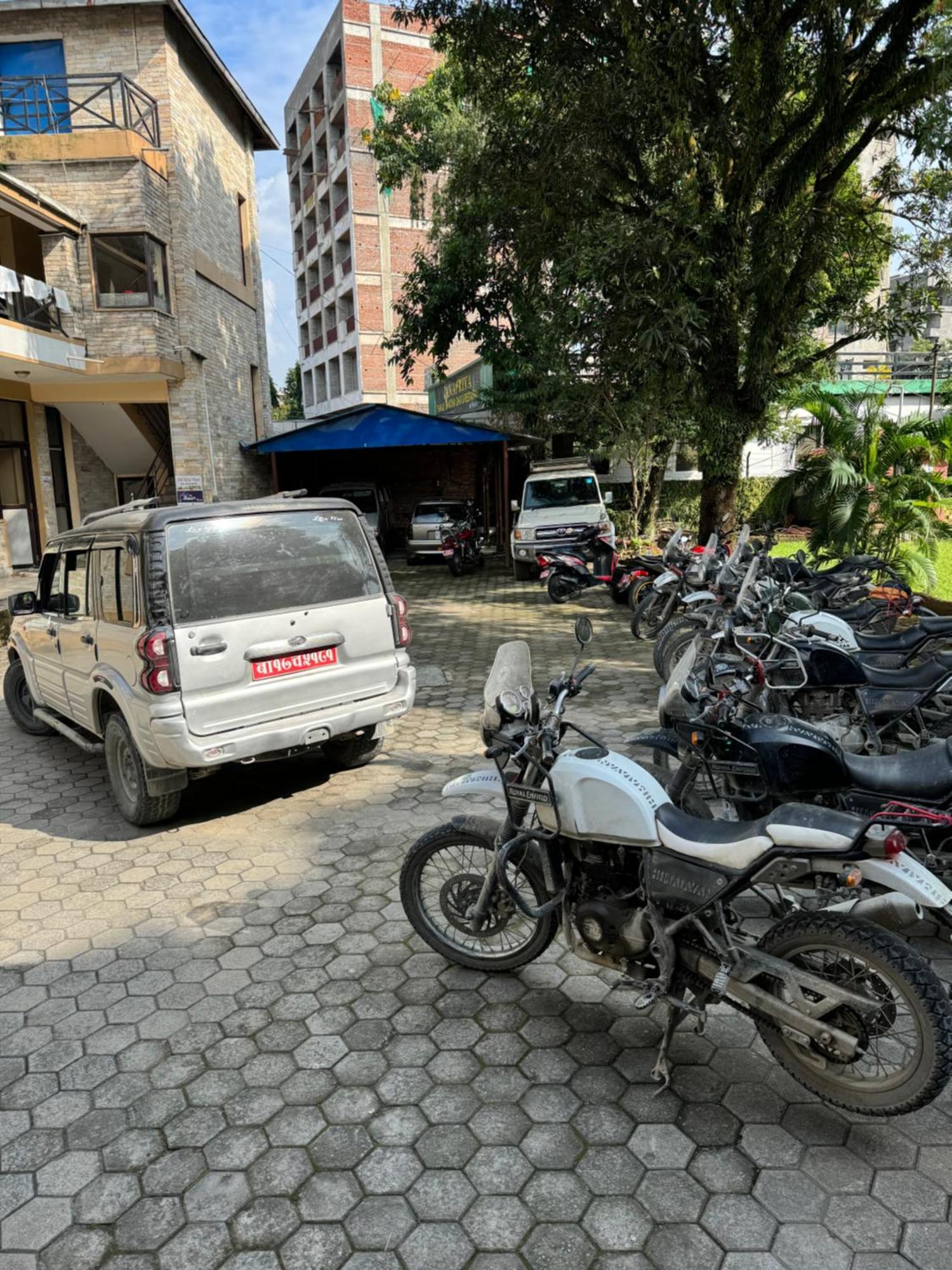 博卡拉 蝴蝶旅舍酒店 外观 照片